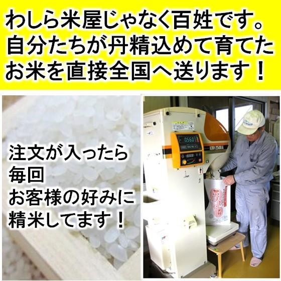 岐阜県産　食べ比べセットＣ　（ハツシモ・コシヒカリ・ミルキークイーン）北海道 沖縄 離島は除く