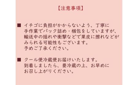 埼玉県嵐山町産とちおとめ　完熟イチゴ4パックセット