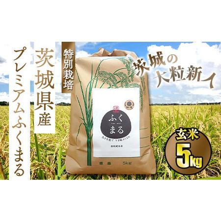 ふるさと納税 ☆茨城の大粒新人 プレミアムふくまる特別栽培米 5kg 茨城県守谷市