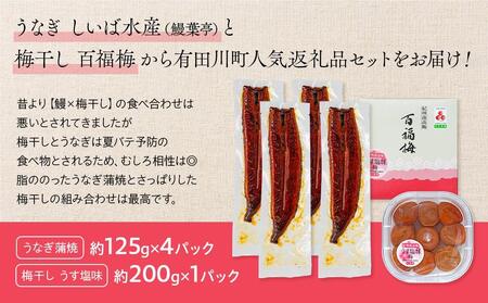 うなぎ蒲焼 4尾 合計 500g  紀州南高梅干 200g うす塩味 塩分10％ セット