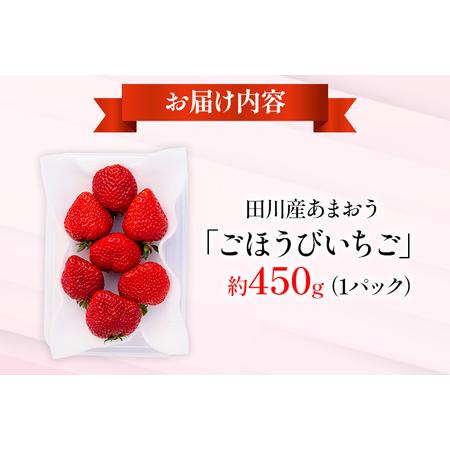 ふるさと納税 あまおう『ごほうびいちご』田川産あまおう 450g ＜2024年1月以降順次発送予定＞ あまおう いちご 苺 大粒 フルーツ 果物 お取り寄.. 福岡県田川市