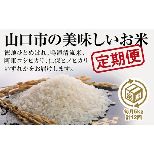 ふるさと納税 山口県 山口市 A-035 山口の美味しいお米定期便　5kg×12回（白米）