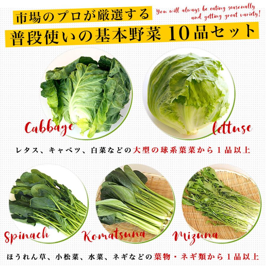 市場からご自宅へ直送　たっぷり野菜詰め合わせ　応援セット　（国産おまかせ野菜１０品セット）