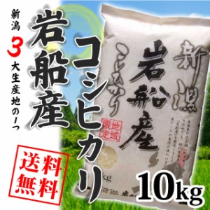 岩船産コシヒカリ 10kg （5キロ×2袋）  米 10キロ 送料無料 精米 令和5年 10kg お米