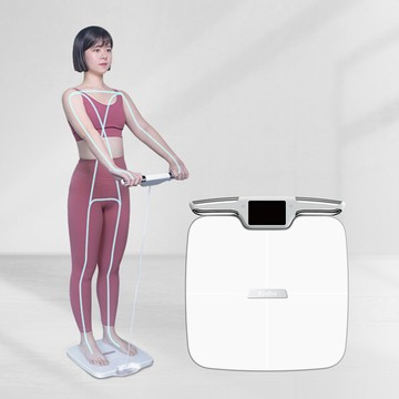 3ZeBra 3Body Pro 八電極體脂計｜專業款(體重計 體重機 體脂秤)