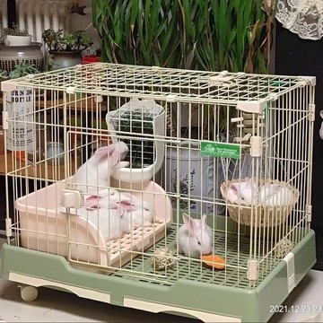 兔籠 寵物圍欄 小型寵物圍欄 兔窩 創逸兔籠家用室內養兔專用 大號荷蘭豬豚籠小型犬托盤寵物兔窩兔籠