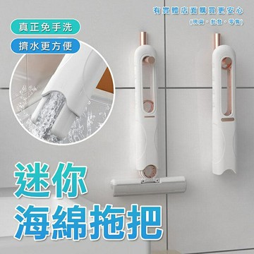 【現貨】小拖把 迷你拖把 迷你海綿拖把 拖把 免手洗小拖把 手持小拖把 免洗抹布 擦玻璃 清潔 柚柚的店