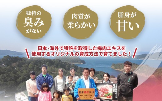 熊本県産 天草梅肉ポーク 豚ロース しゃぶしゃぶ用 800g 冷凍