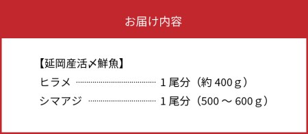 延岡産活〆ヒラメとシマアジの豪華お刺身セット　N019-ZC623　請関水産