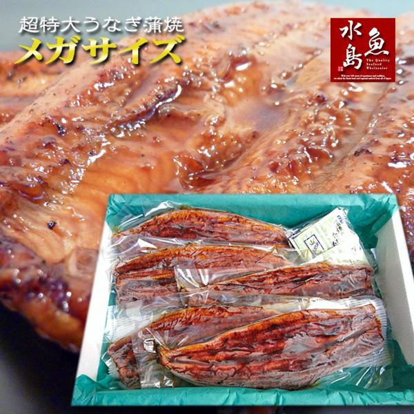 炭火焼 鰻うなぎ蒲焼き 超特大 極厚の食べ応え 特メガサイズ 約500g×5尾 父の日ギフト 土用丑の日 お中元 送料無料