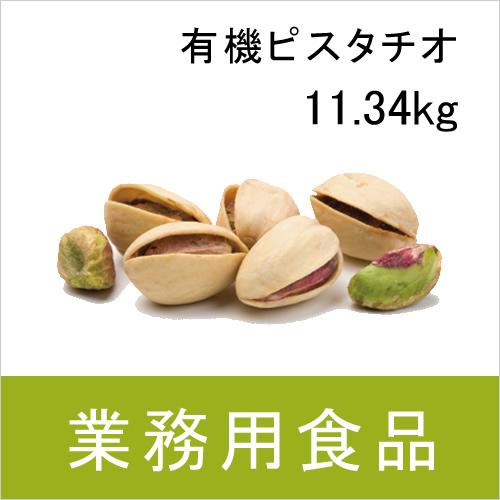 業務用・送料無料　第3世界ショップ　有機ピスタチオ　11.34kg