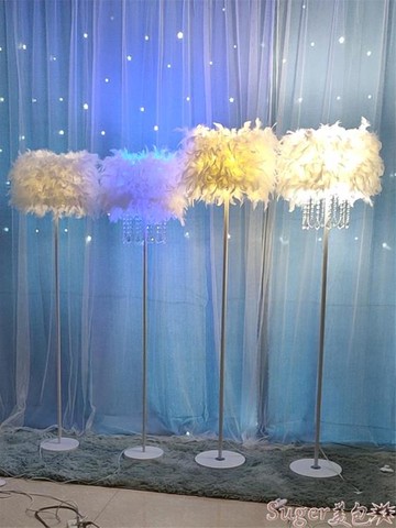 落地檯燈羽毛落地燈客廳直播間裝飾ins少女網紅床頭燈檯燈臥室設計感輕奢 雙11全館免運