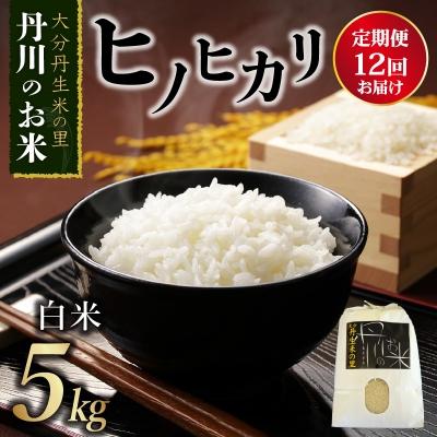 ふるさと納税 大分市 丹生米の里 丹川のお米 ヒノヒカリ白米 5kg×12回お届け定期便_B01024