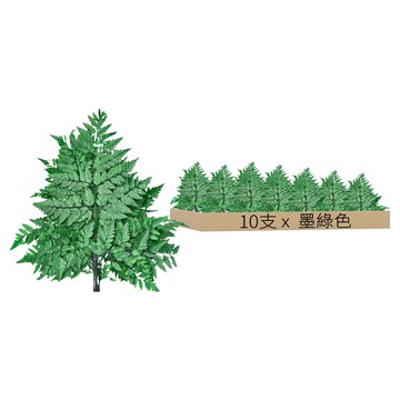 永生高山羊齒蕨 35公分*30公分 10支裝  墨綠色
