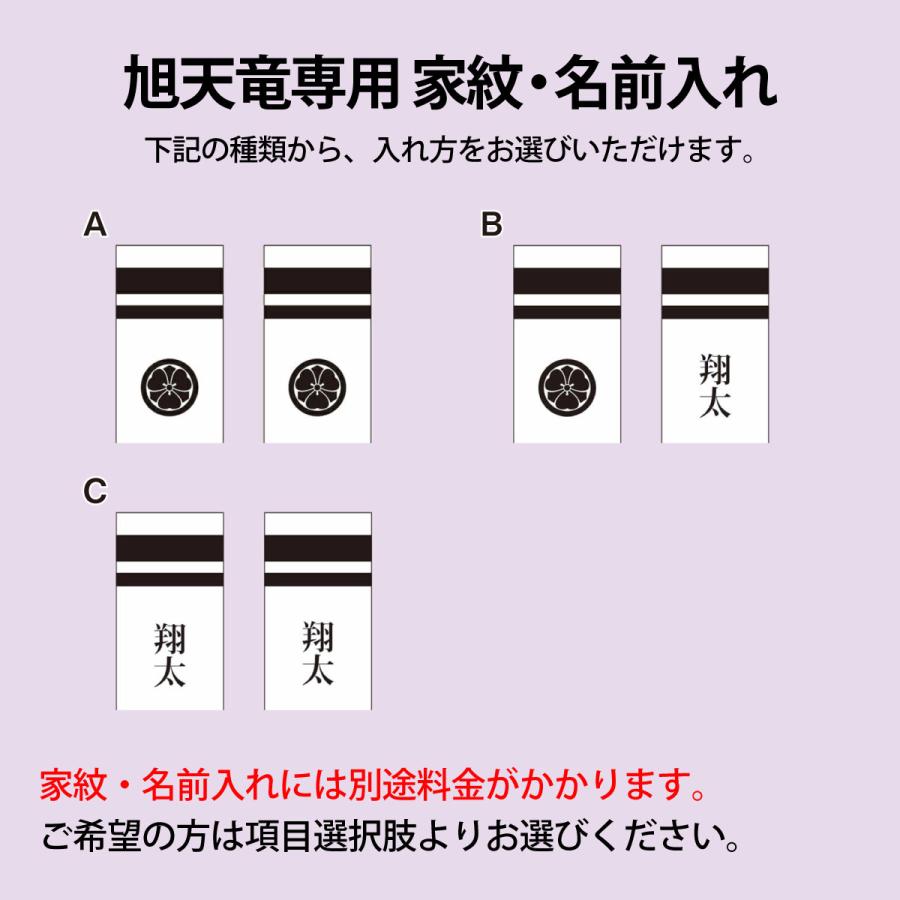 こいのぼり 旭天竜 鯉のぼり 庭園用 4m6点セット 新薫風 撥水加工 家紋・名前入れ可能 m-skunpu-4m-6