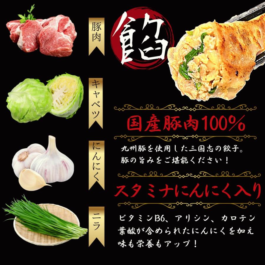 30％offクーポン配布中 生餃子24個とにんにく餃子24個 送料無料生餃子にんにく  大きいサイズ     工場直売 ぎょうざ ギョウザ ギョーザ 国産  ギフト業務用