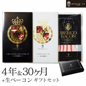 イベリコ豚 生ハム 3種 おつまみ セット 冷蔵 お歳暮 結婚 出産 内祝 プレゼント お返し 送料無料 お歳暮 イベリコ屋