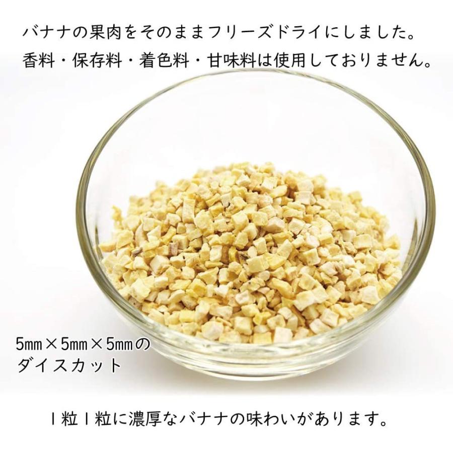 フリーズドライ バナナ 200g ダイスカット 5mm×5mm×5mm 無添加 砂糖不使用