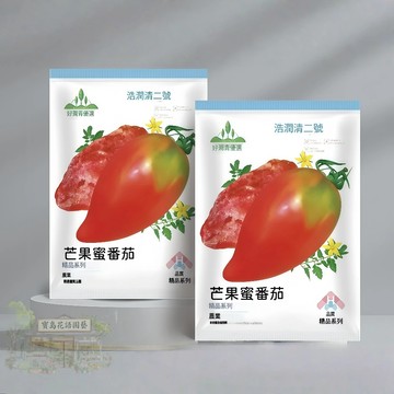【現貨可開收據】 芒果蜜番茄種子（約100粒）奶香芒果番茄大果西紅柿種子/沙瓤超甜 單果重150g 水果種子四季高產原裝