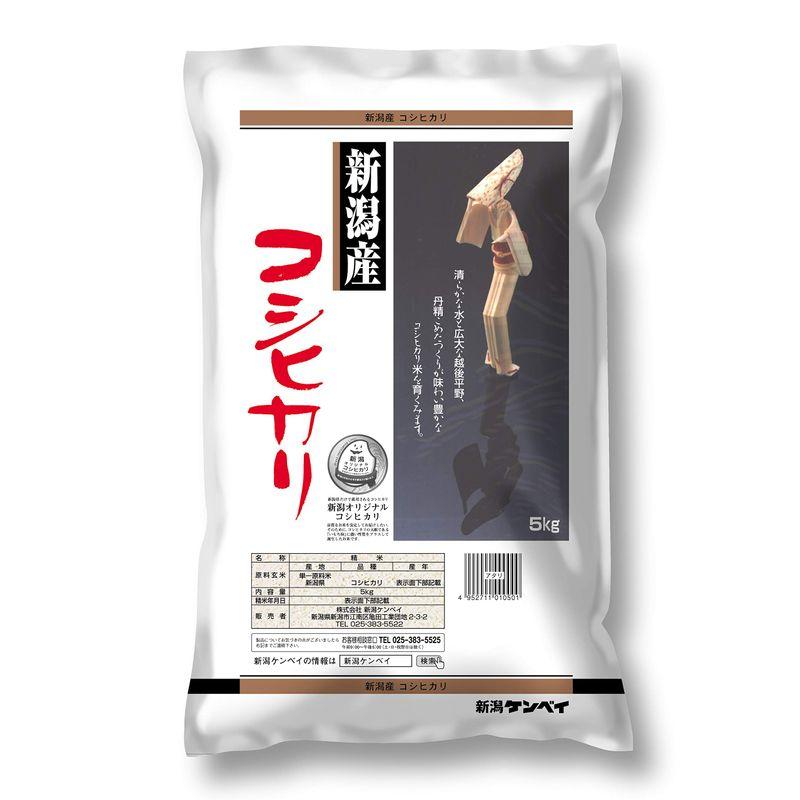 精米 新潟県産 コシヒカリ 5kg 令和4年産