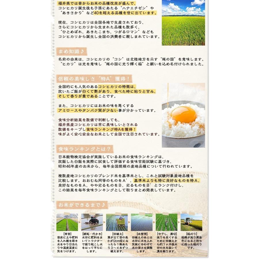 新米 米 玄米 5kg コシヒカリ 福井県産 令和5年産 送料無料