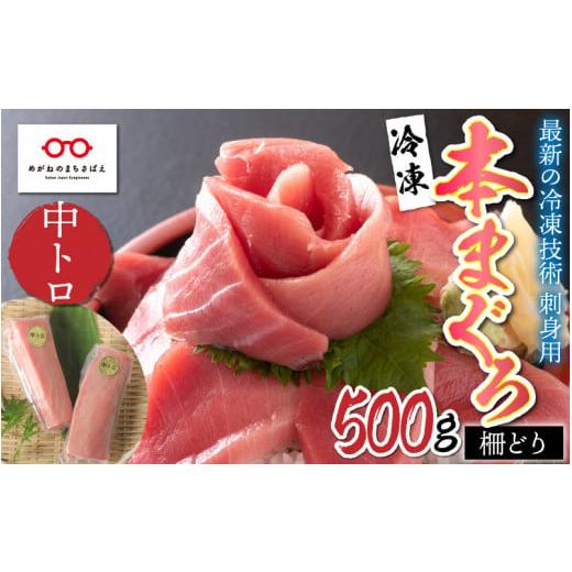 ふるさと納税 福井県 鯖江市 本マグロ 中トロ 500g（柵どり）[C-11006]