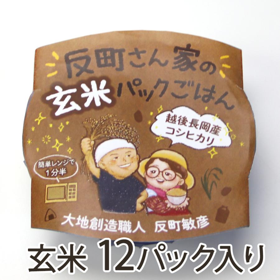 パックごはん 玄米 12パック入り 大地創造職人 反町敏彦 送料無料