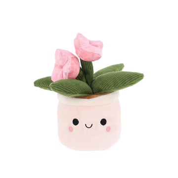 Keel Plant Bobballs Pink Orchid 粉紅蝴蝶蘭盆栽12cm