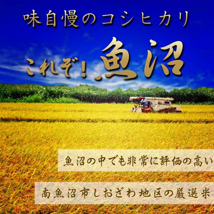 新米 令和5年 コシヒカリ 玄米10kg 新潟県南魚沼 しおざわ産 コシヒカリ 玄米 10kg 令和５年産米 精米無料  玄米 米 おこめ お米 10kg