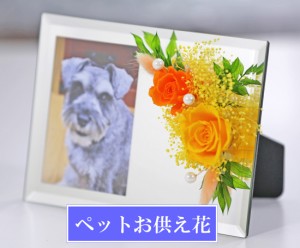 ペット 犬 猫 フォトミラー 即日配送 ペットお供え花 仏花 お供え花 写真立て ブリザードフラワー 仏壇用 プリザーブドフラワー 枯れ 通販 Lineポイント最大1 0 Get Lineショッピング