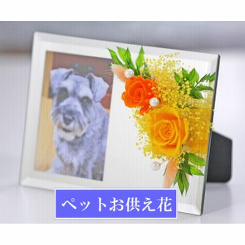 ペット 犬 猫 フォトミラー 即日配送 ペットお供え花 仏花 お供え花 写真立て ブリザードフラワー 仏壇用 プリザーブドフラワー 枯れ 通販 Lineポイント最大1 0 Get Lineショッピング