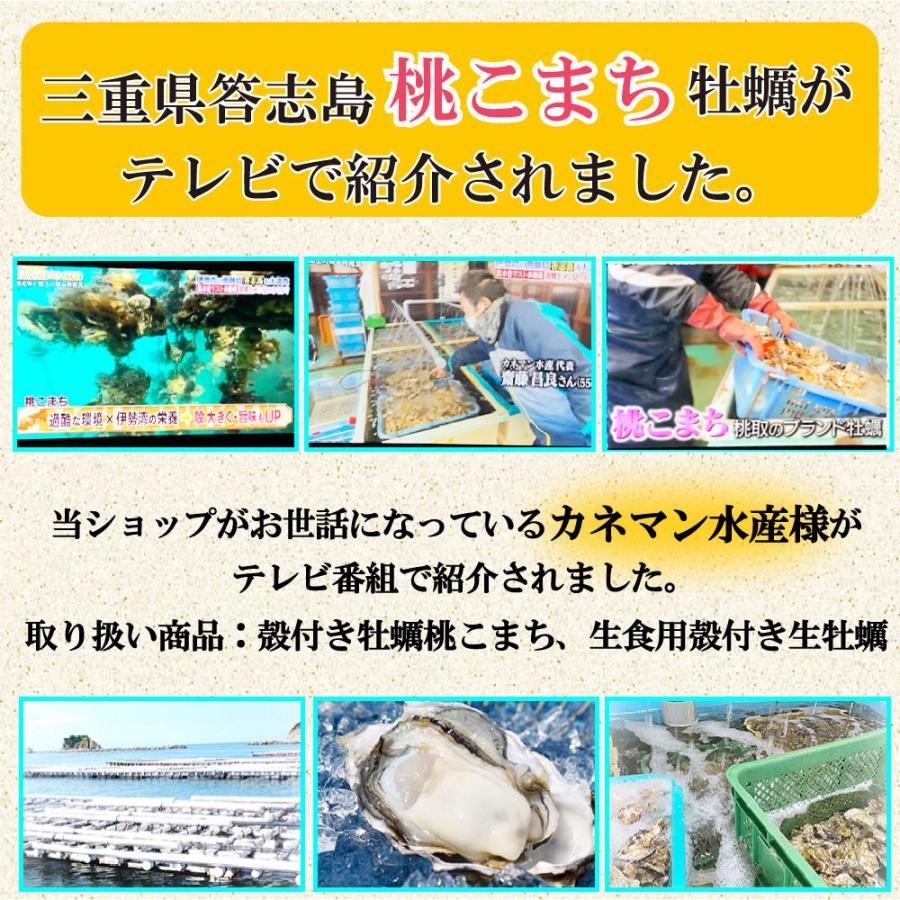 新牡蠣 送料無料 冷凍 殻付き牡蠣 ブランド牡蠣 桃こまち カンカン焼き Lサイズ 20個入り (カキナイフ 片手用軍手 半缶 付き 三重県 伊勢志摩 鳥羽 桃取産