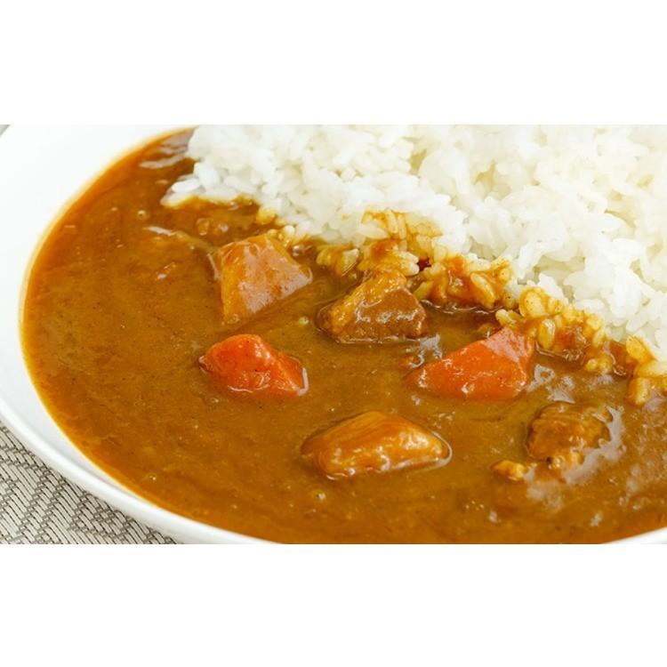 おおみなと海自カレー ビーフカレーセット