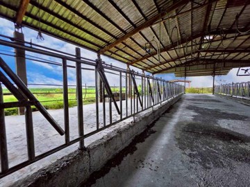 萬丹合法畜牧場 近台88 地形方正 設備齊全｜屏東縣萬丹鄉大智路