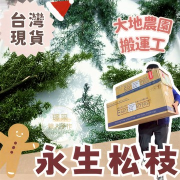 璟采職人】大地農園 雪松 永生松柏 永生雪松 永生松枝 扁柏 龍柏 藤圈葉材 永生松葉 松枝 藤圈打底 永生葉材 花圈材