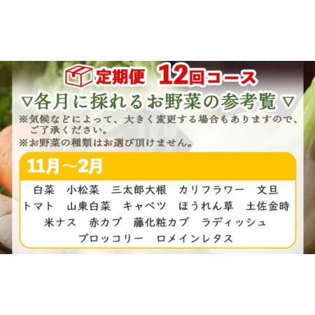 ふるさと納税 定期便12回コース 高知県香南市産 旬のお野菜詰合せ(10〜13品目) やさい おまかせ セット 土佐野菜 新鮮 高知県 香南市 Wpr-0010 高知県香南市