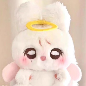 ⭐韓國代購正版⭐seventeen yoonhani 尹淨漢 屬性 棉花娃娃 svt【3天內發貨】