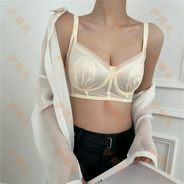 【臺灣出貨👙】高質量緞面大胸聚攏收副乳內衣女兔耳杯防凸點顯胸小超薄無痕文胸【伊娜美】