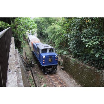嘉義｜栩悅號『奮起湖➔阿里山』森林導覽列車.懷舊奮起湖老街.阿里山國家森林遊樂區.文山賓館二日｜高雄台南_26KHHCYI27