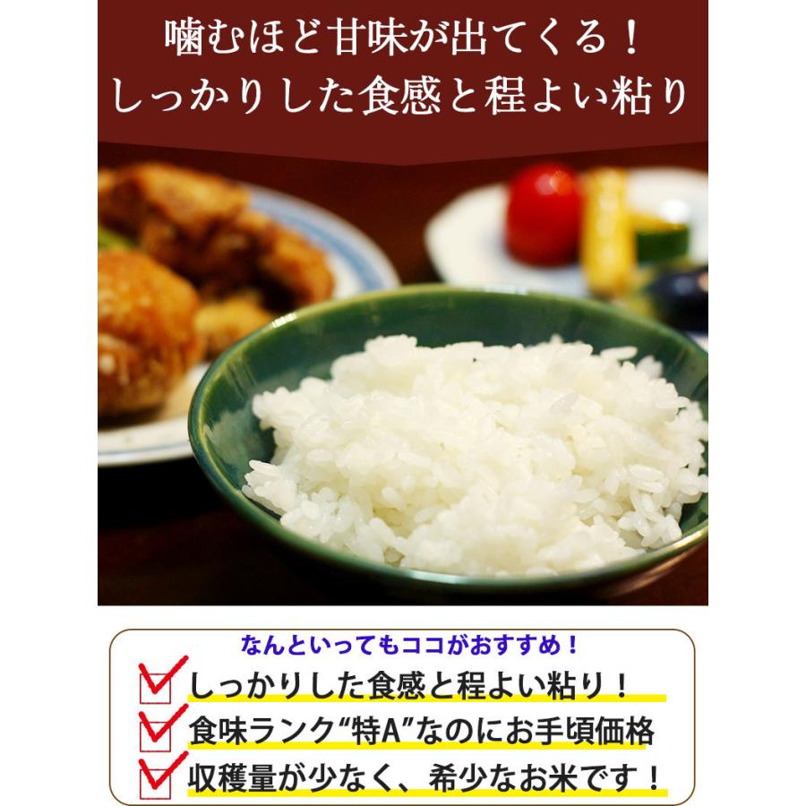 お米 2kg チャック付き 送料無料 米物語 上越産コシヒカリ 新潟米 JA上越 ギフト 内祝い