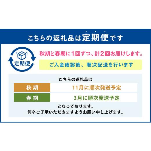 ふるさと納税 熊本県 菊池市 肉厚原木生 椎茸 1kg (秋・春お届け) 計2kg しいたけ