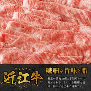 ふるさと納税 近江牛スライス500g・近江牛切り落とし300ｇ×3 滋賀県守山市