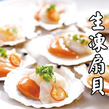 【海肉管家】生凍頂級半殼大扇貝 x6包(每包5~8入/約500g±10%)