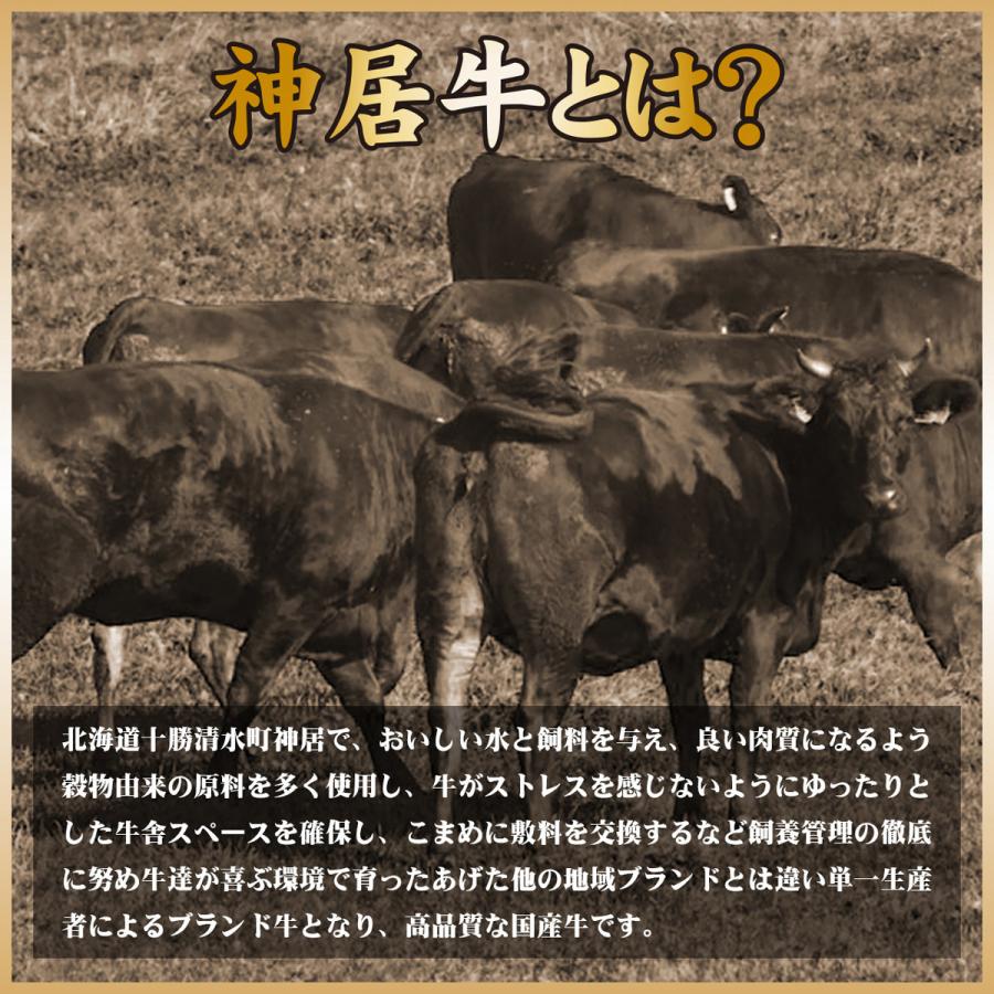 お歳暮 お年賀 肉 牛肉 国産牛 肉重 セット すき焼き しゃぶしゃぶ ギフト 贈答 千里屋厳選 お歳暮 肉重セット 庵 神居牛 クラシタロース ヘルシーモモ 600g