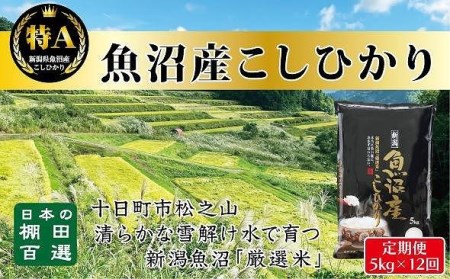 食味鑑定士が選ぶ　日本棚田百選のお米　天空の里　　魚沼産こしひかり５kg（5kg ×１）×全１２回