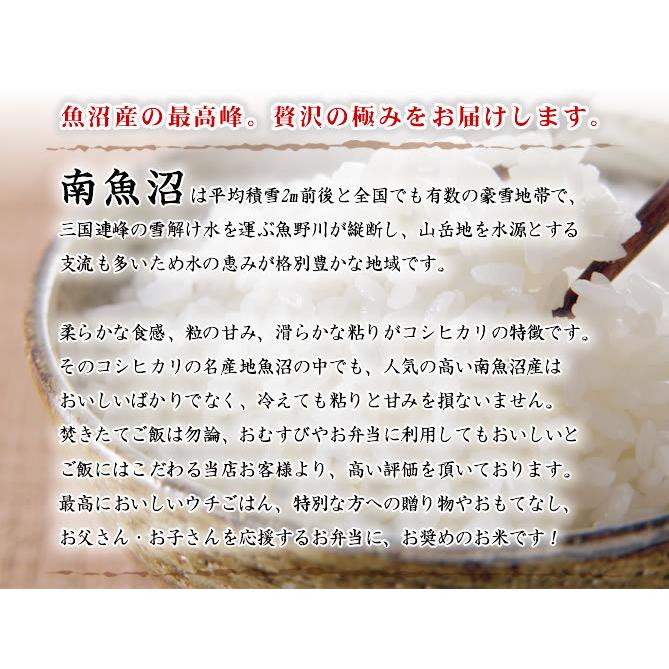 新米 お米 令和5年産 1kg 南魚沼産コシヒカリ 新潟産 送料別