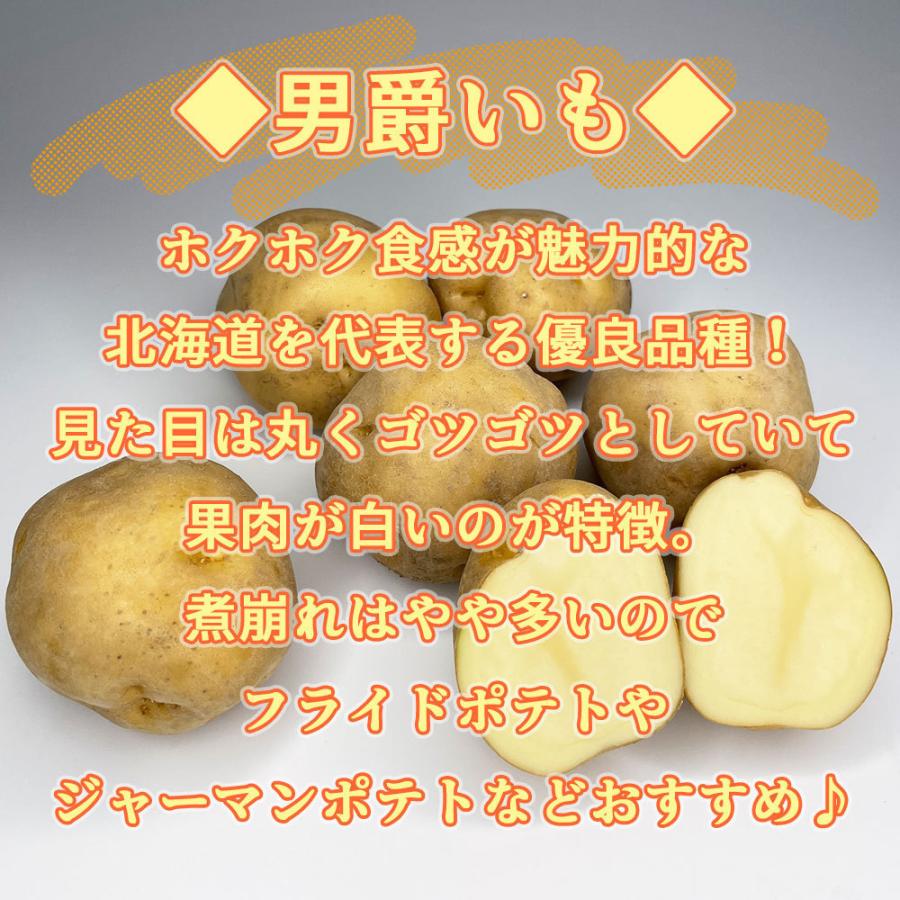 送料無料 北海道産 男爵 Mサイズ 10kg じゃがいも 馬鈴薯 送料無料