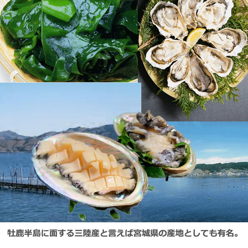 活アワビ 三陸産 天然蝦夷アワビ １Kg 箱 無選別 産地直送 送料無料