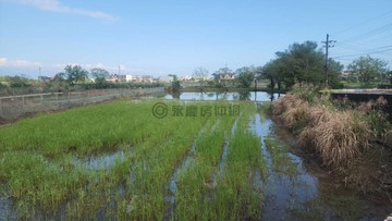 近十三份農場東林寺仁山段足坪農地｜宜蘭縣冬山鄉仁山段