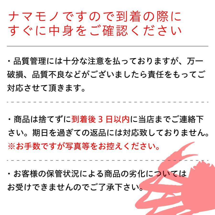 松葉ガニ ボイル 約750g 2枚 ズワイガニ かに カニ 松葉蟹 松葉がに 産地直送 鳥取 国産 送料無料（北海道・沖縄を除く）